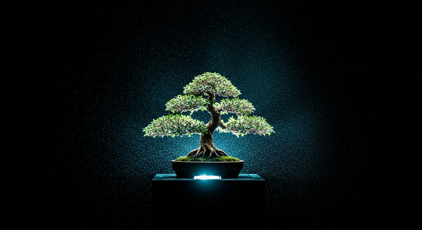 We support and evolve
